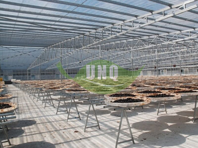 施工現場